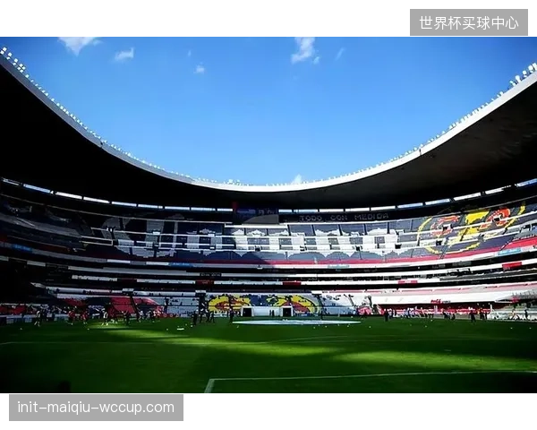 为满足FIFA标准，休斯顿NRG体育场等场馆正进行复杂改造，以确保比赛场地质量。